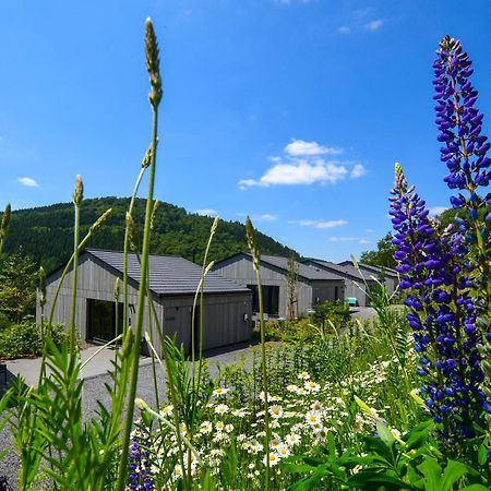 Sauerland Lodge - Haus Maxim Вінтерберг Екстер'єр фото