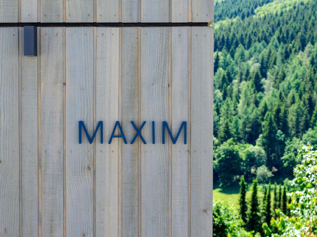 Sauerland Lodge - Haus Maxim Вінтерберг Екстер'єр фото