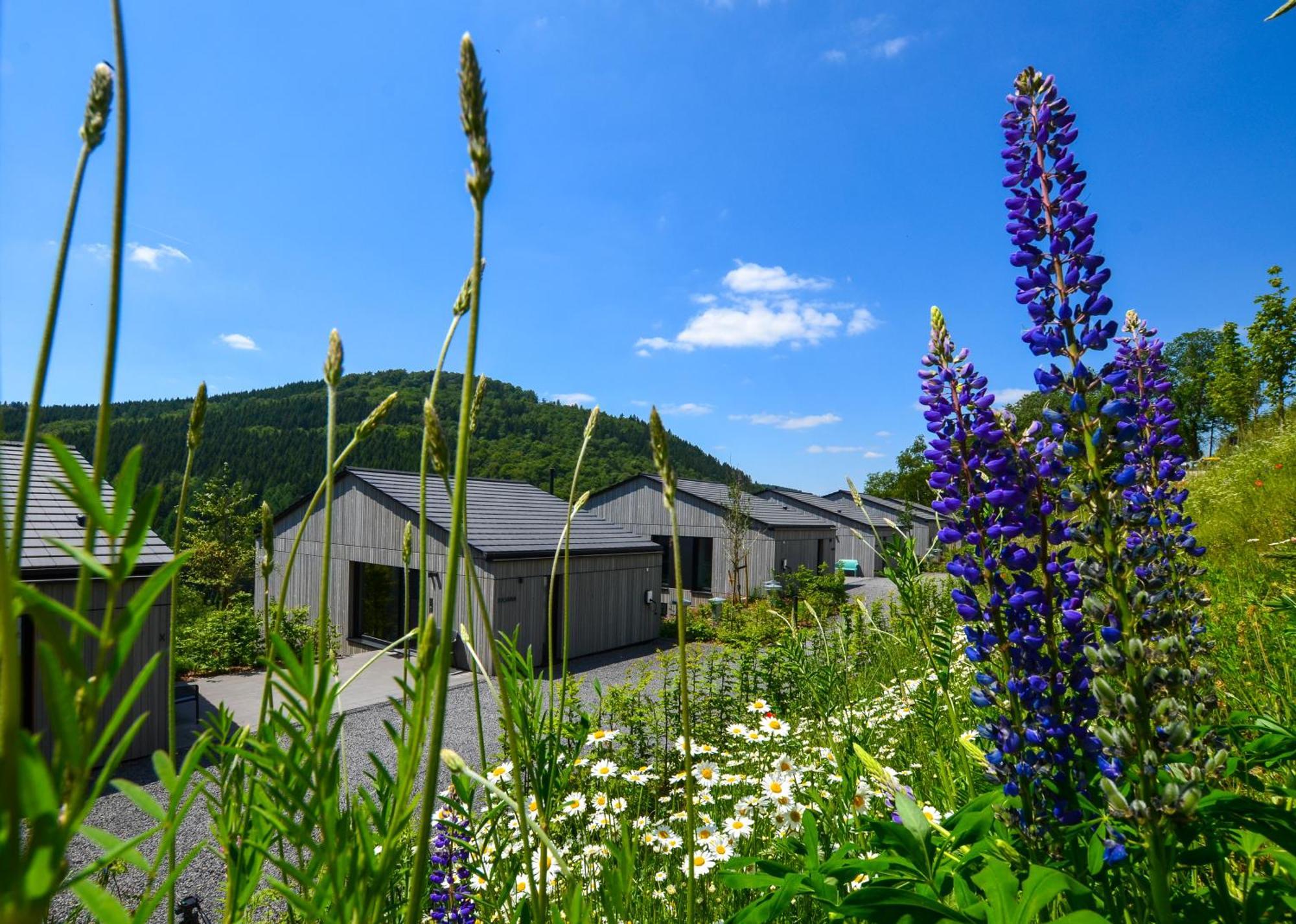 Sauerland Lodge - Haus Maxim Вінтерберг Екстер'єр фото